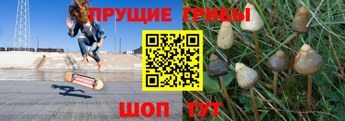 Луховицы  Псилоцибиновые грибы Psilocybe  Вход с VPN 